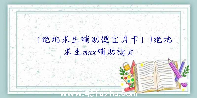 「绝地求生辅助便宜月卡」|绝地求生max辅助稳定